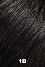 Load image into Gallery viewer, Jon Renau Wigs - Willow (#5904)
