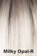 Load image into Gallery viewer, Rene of Paris Wigs - Kason (#2409)
