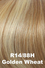 Load image into Gallery viewer, Raquel Welch Wigs - Success Story - Human Hair
