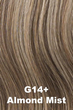 Load image into Gallery viewer, Gabor Wigs - Incentive
