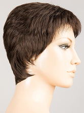 Load image into Gallery viewer, Risk Large | Hair Power | Synthetic Wig Ellen Wille
